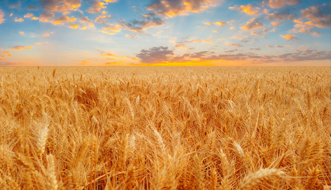 w66.利来(中国区)_来利国际旗舰厅